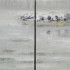 /thumbs/70&times;70&times;c/works-on-canvas/chung-reflection-2016-50-x-180-cm.jpg